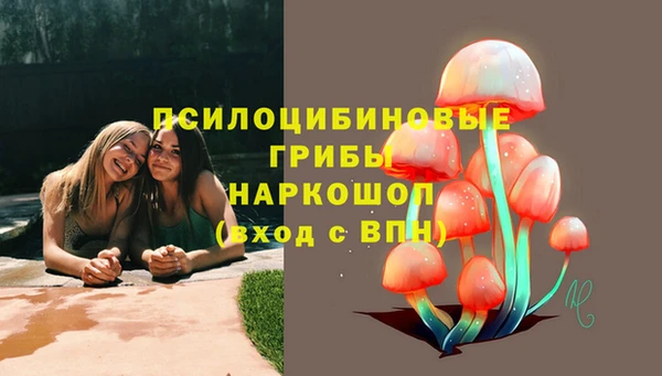 мяу мяу мука Кодинск