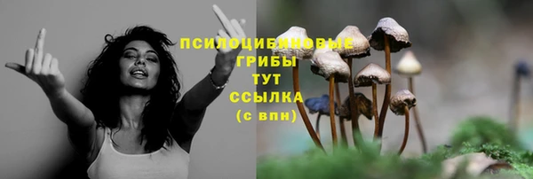 экстази Козельск