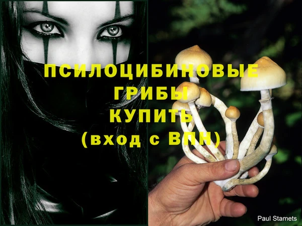 дмт Корсаков