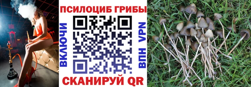 наркота  Сосенский  Галлюциногенные грибы мицелий 